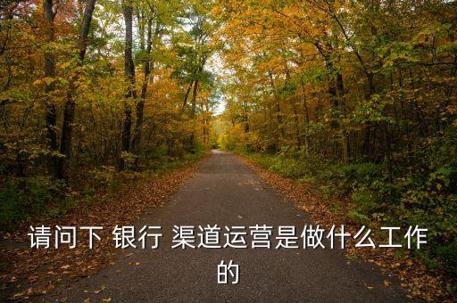 請問下 銀行 渠道運(yùn)營是做什么工作的
