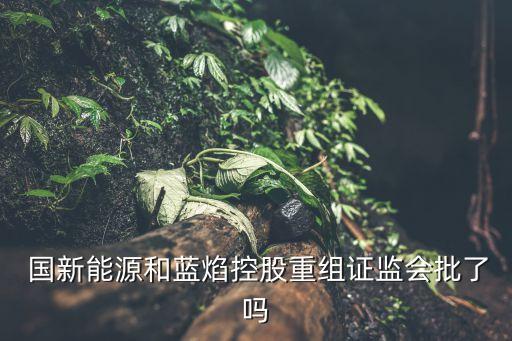 中國國新上市公司,許國新 上市公司協(xié)會(huì)副會(huì)長