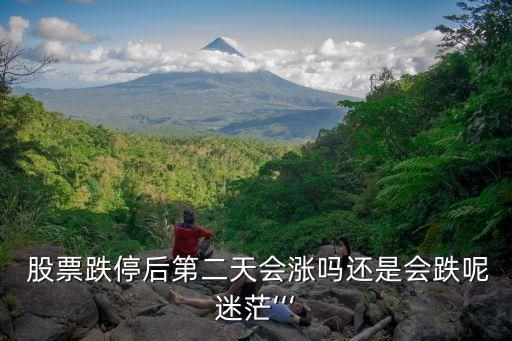  股票跌停后第二天會(huì)漲嗎還是會(huì)跌呢迷茫‘‘‘