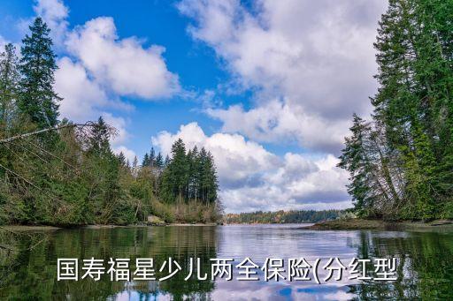 國壽福星少兒兩全保險(xiǎn)(分紅型