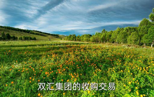 雙匯集團(tuán)的收購(gòu)交易