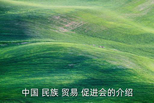 中國民族貿(mào)易促進(jìn)會(huì)鄭秋濤
