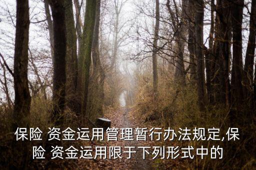 保險(xiǎn)公司的資金運(yùn)用途徑