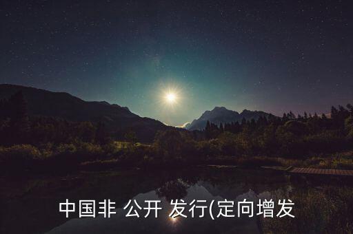 中國(guó)非 公開 發(fā)行(定向增發(fā)
