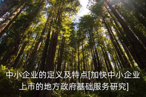 中小企業(yè)的定義及特點[加快中小企業(yè) 上市的地方政府基礎(chǔ)服務(wù)研究]