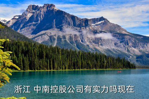 浙江 中南控股公司有實力嗎現在