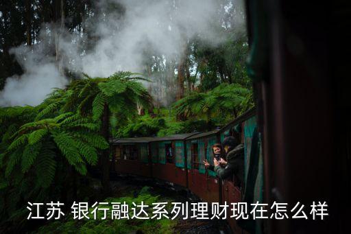  江蘇 銀行融達(dá)系列理財現(xiàn)在怎么樣