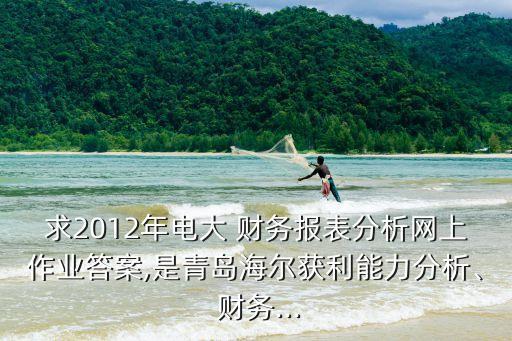 求2012年電大 財務(wù)報表分析網(wǎng)上作業(yè)答案,是青島海爾獲利能力分析、 財務(wù)...