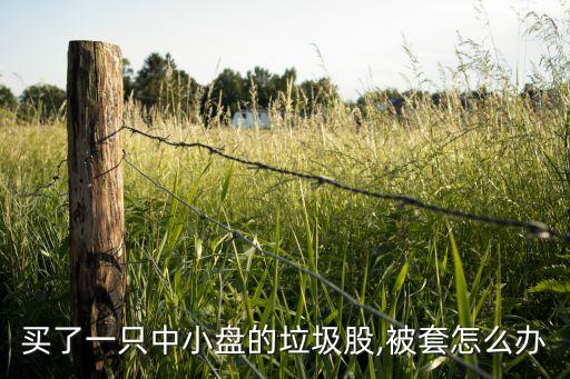 買了一只中小盤(pán)的垃圾股,被套怎么辦