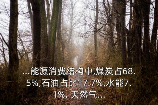 2012年中國(guó)天然氣消費(fèi)量,中國(guó)每年天然氣消費(fèi)量