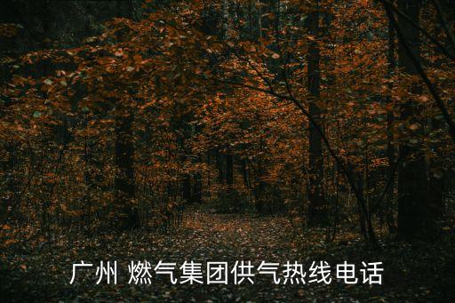 國興燃氣有限公司,江蘇國興建設項目管理有限公司