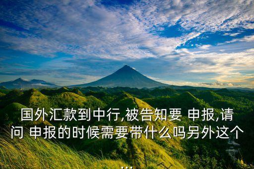 國外匯款到中行,被告知要 申報(bào),請問 申報(bào)的時(shí)候需要帶什么嗎另外這個(gè)...