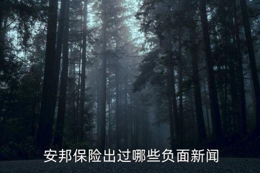  安邦保險出過哪些負(fù)面新聞