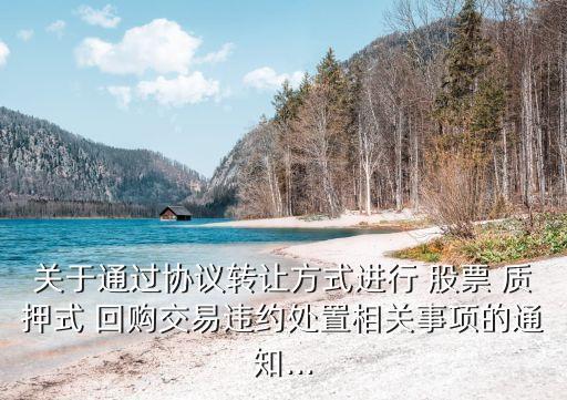 關(guān)于通過協(xié)議轉(zhuǎn)讓方式進(jìn)行 股票 質(zhì)押式 回購交易違約處置相關(guān)事項的通知...