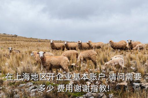 在上海地區(qū)開(kāi)企業(yè)基本賬戶,請(qǐng)問(wèn)需要多少 費(fèi)用謝謝指教!