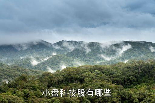 小盤(pán)科技股有哪些
