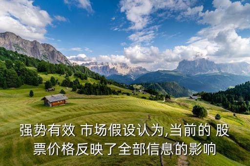 強(qiáng)勢有效 市場假設(shè)認(rèn)為,當(dāng)前的 股票價格反映了全部信息的影響