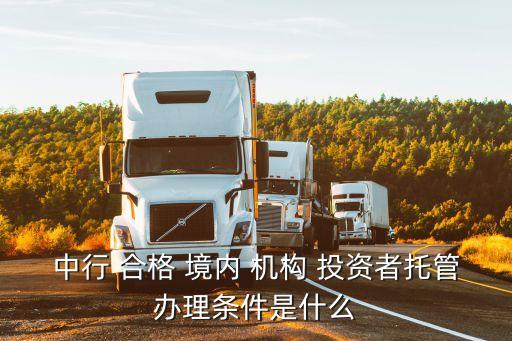 中行 合格 境內(nèi) 機(jī)構(gòu) 投資者托管辦理條件是什么