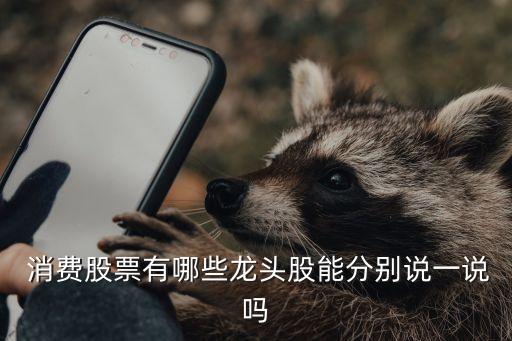 中國品牌消費(fèi)股,2023中國品牌消費(fèi)節(jié)啟動