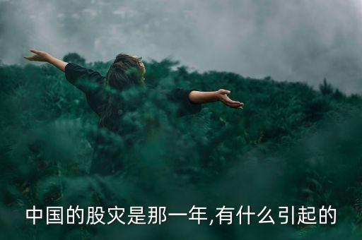 中國的股災是那一年,有什么引起的