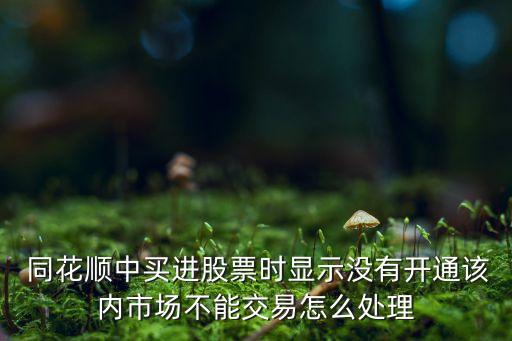  同花順中買進股票時顯示沒有開通該內市場不能交易怎么處理