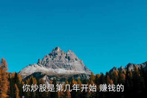 你炒股是第幾年開(kāi)始 賺錢的