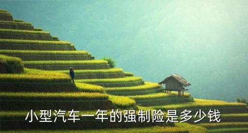 小型汽車一年的強制險是多少錢
