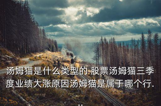 湯姆貓是什么類型的 股票湯姆貓三季度業(yè)績(jī)大漲原因湯姆貓是屬于哪個(gè)行...