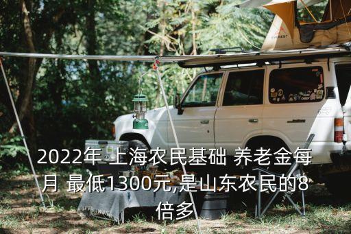 2022年 上海農民基礎 養(yǎng)老金每月 最低1300元,是山東農民的8倍多