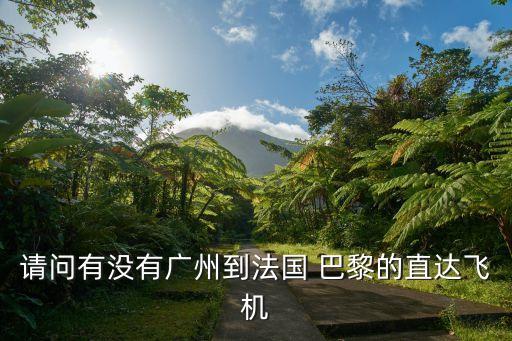 請問有沒有廣州到法國 巴黎的直達飛機