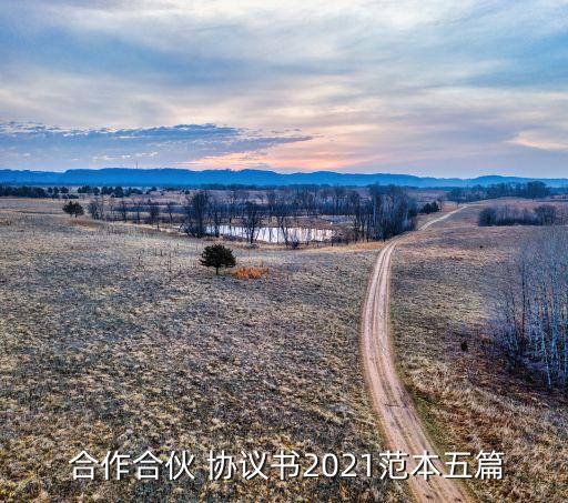  合作合伙 協(xié)議書(shū)2021范本五篇