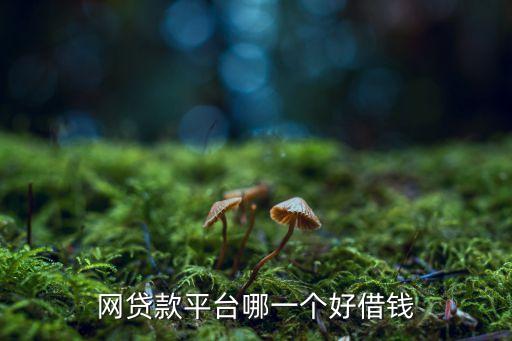 網(wǎng)貸款平臺(tái)哪一個(gè)好借錢(qián)