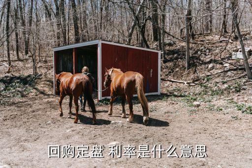  回購(gòu)定盤(pán) 利率是什么意思