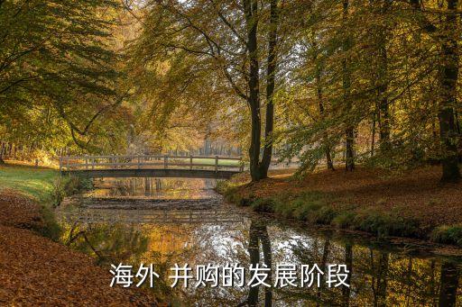 中國(guó)企業(yè)跨國(guó)并購現(xiàn)階段,企業(yè)跨國(guó)并購的意義