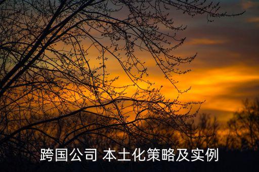 跨國公司 本土化策略及實(shí)例