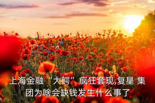 上海金融“大鱷”瘋狂套現(xiàn),復(fù)星 集團(tuán)為啥會(huì)缺錢(qián)發(fā)生什么事了