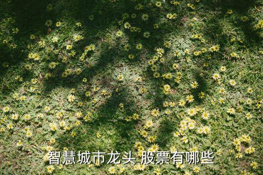 東華軟件開(kāi)盤(pán)時(shí)間股票