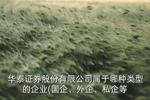  華泰證券股份有限公司屬于哪種類型的企業(yè)(國企、外企、私企等
