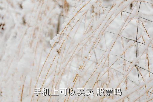 手機(jī)買(mǎi)股票是什么時(shí)候開(kāi)始的,中國(guó)什么時(shí)候開(kāi)始可以買(mǎi)股票