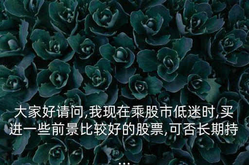 大家好請問,我現在乘股市低迷時,買進一些前景比較好的股票,可否長期持...