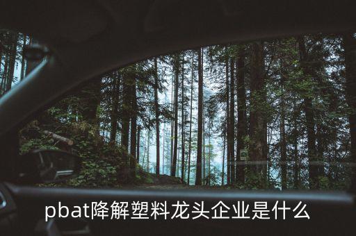 山東瑞豐高分子材料股份有限公司招股說(shuō)明書(shū)