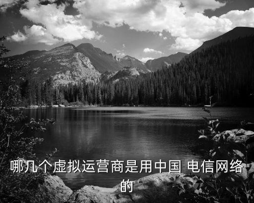 哪幾個(gè)虛擬運(yùn)營商是用中國 電信網(wǎng)絡(luò)的