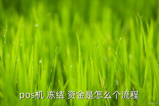 pos機 凍結(jié) 資金是怎么個流程