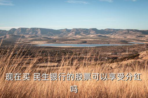 現在買 民生銀行的股票可以享受分紅嗎