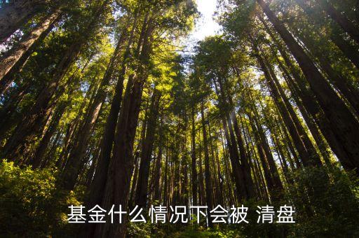  基金什么情況下會(huì)被 清盤(pán)