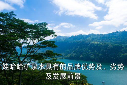 娃哈哈礦泉水具有的品牌優(yōu)勢(shì)及、劣勢(shì)及發(fā)展前景