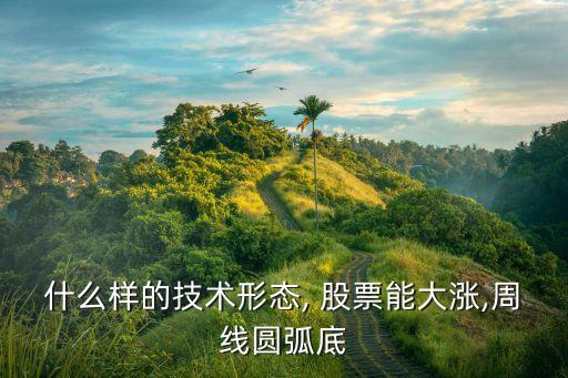 哪類(lèi)股票短期波動(dòng)比較大