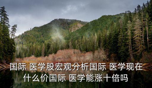國際 醫(yī)學(xué)股宏觀分析國際 醫(yī)學(xué)現(xiàn)在什么價國際 醫(yī)學(xué)能漲十倍嗎