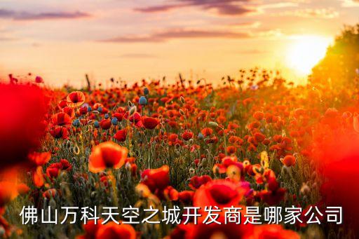  佛山萬(wàn)科天空之城開發(fā)商是哪家公司