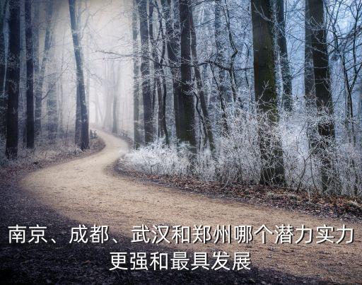 南京、成都、武漢和鄭州哪個(gè)潛力實(shí)力更強(qiáng)和最具發(fā)展